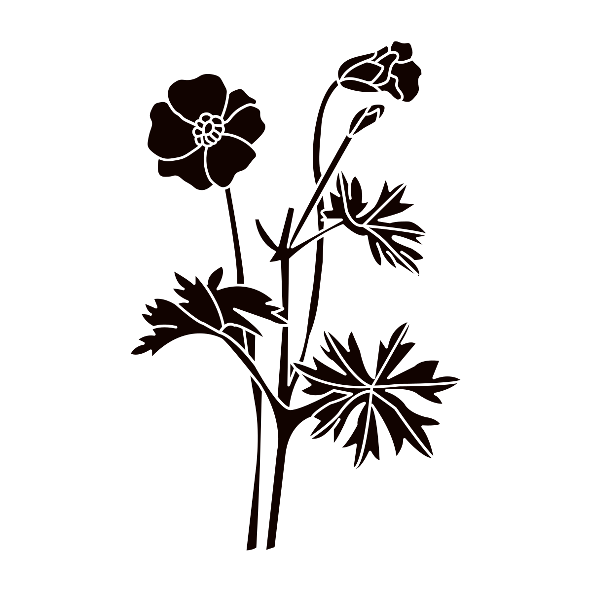 noun-flower-5734568-110300