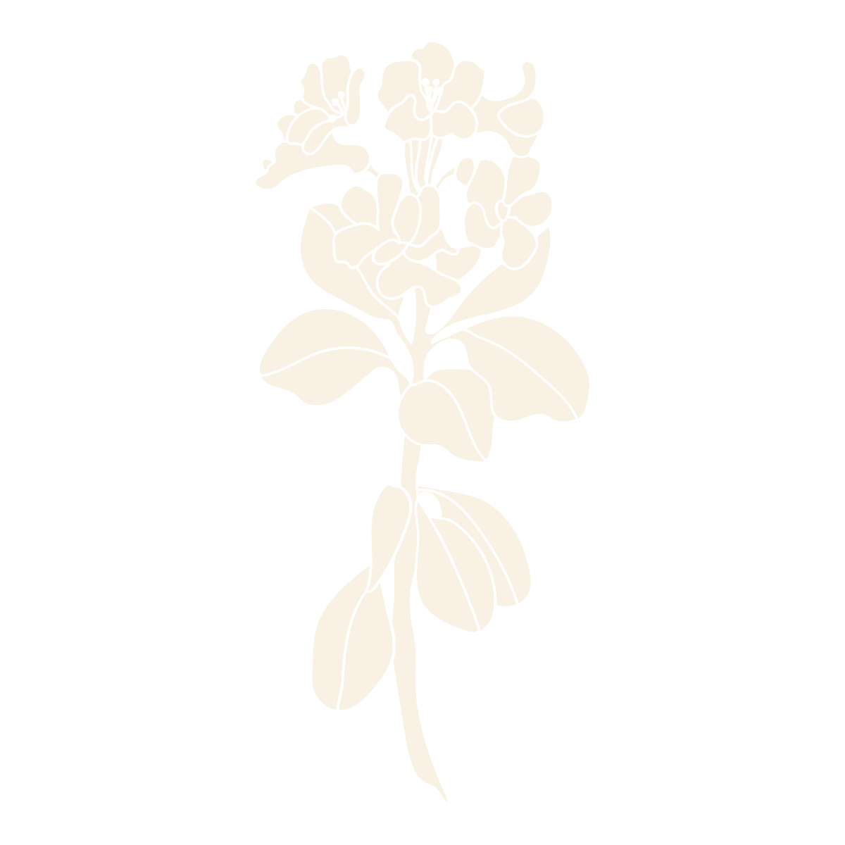 noun-icon-5048953-F9F1E3
